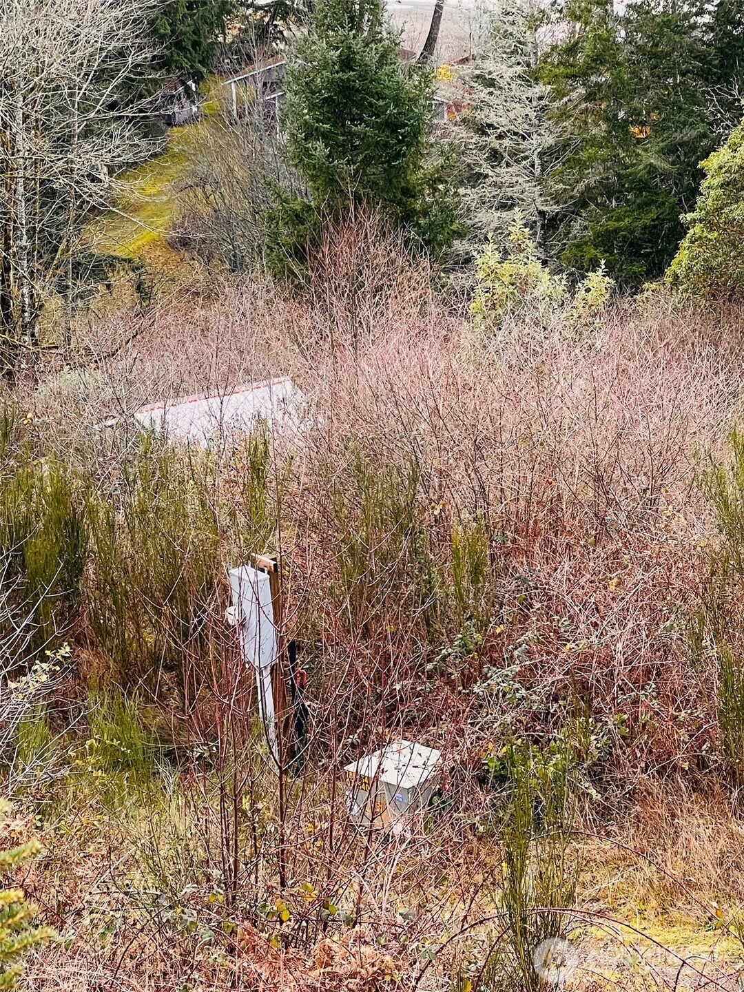 3841 E State Route 302 , Belfair, WA 98528