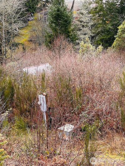 3841 E State Route 302 , Belfair, WA 98528 - Photo 3