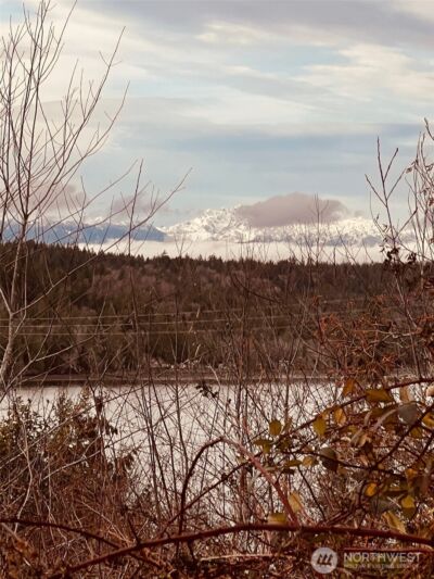 3841 E State Route 302 , Belfair, WA 98528 - Photo 5