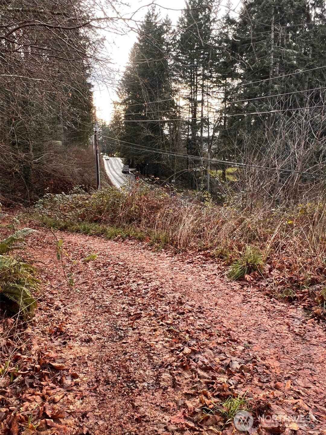 3841 E State Route 302 , Belfair, WA 98528