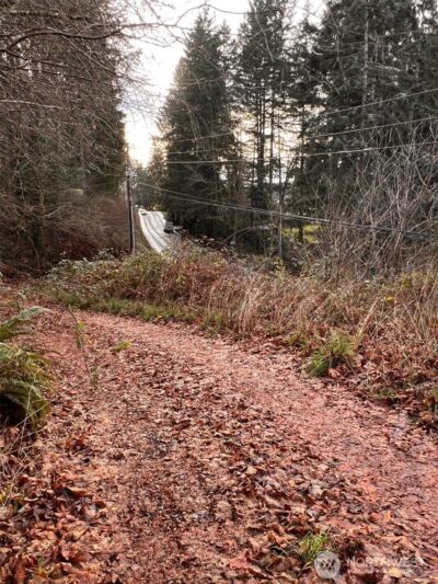 3841 E State Route 302 , Belfair, WA 98528 - Photo 6