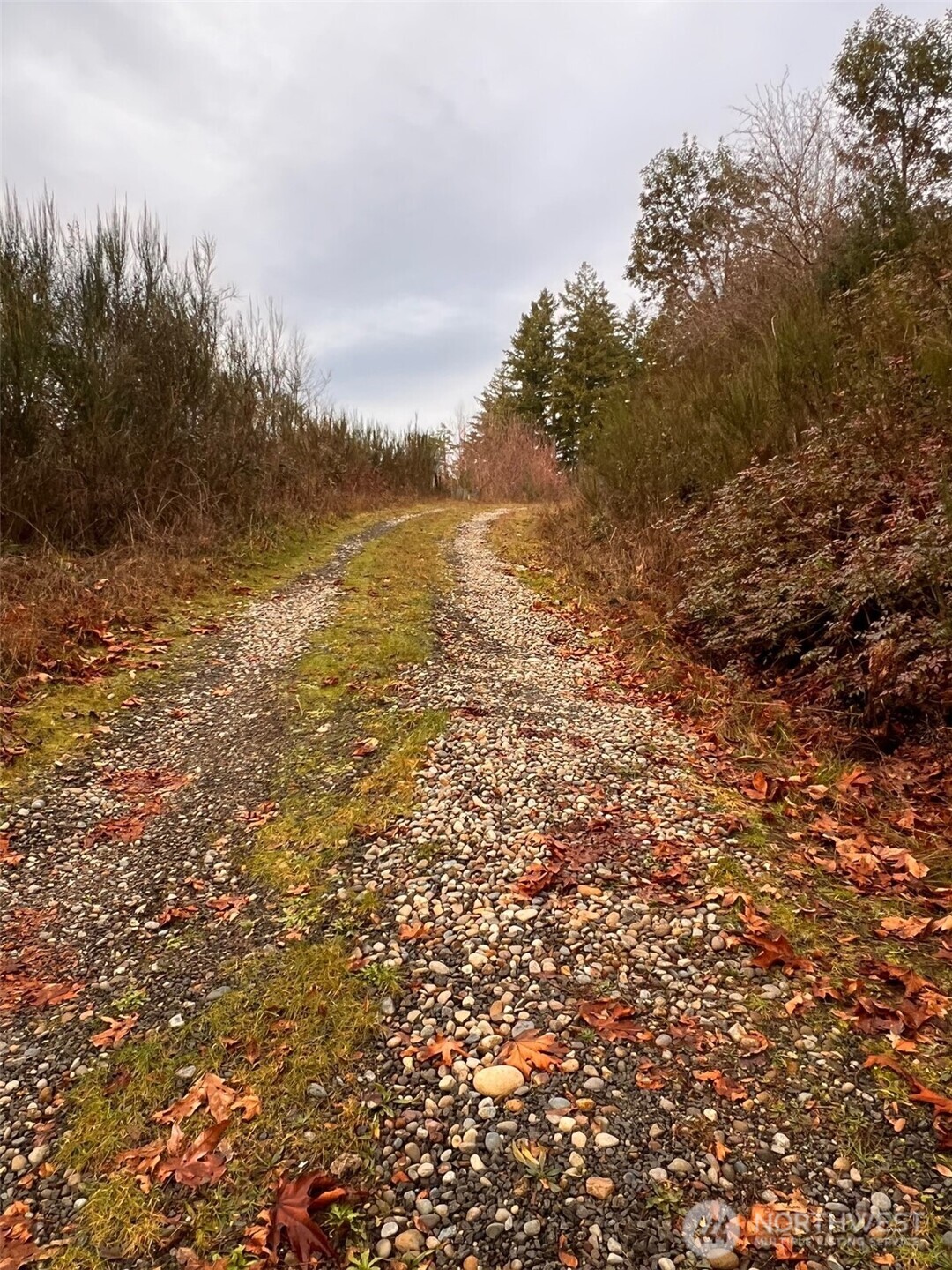 3841 E State Route 302 , Belfair, WA 98528