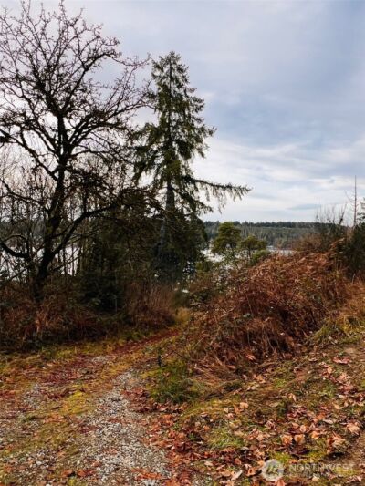 3841 E State Route 302 , Belfair, WA 98528 - Photo 9