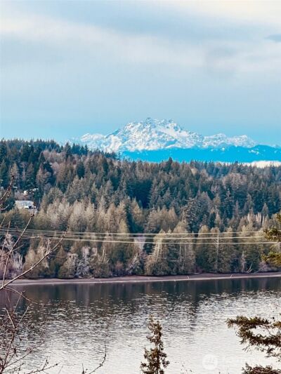 3841 E State Route 302 , Belfair, WA 98528 - Photo 10