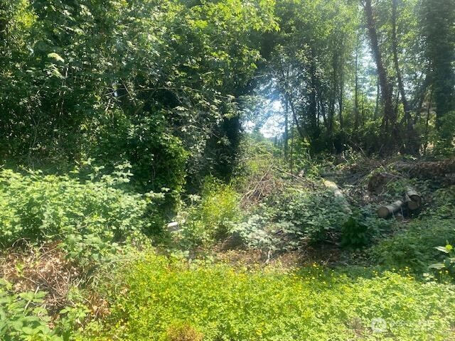 0 Arrowsmith Avenue S, Seattle, WA 98118