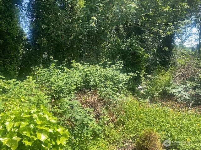 0 Arrowsmith Avenue S, Seattle, WA 98118