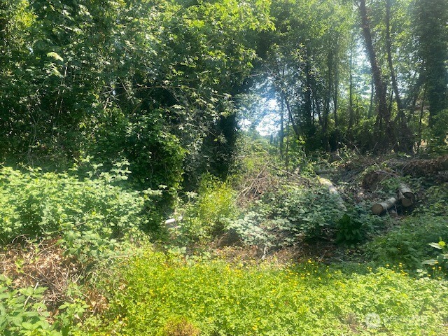 0 Arrowsmith Avenue S, Seattle, WA 98118