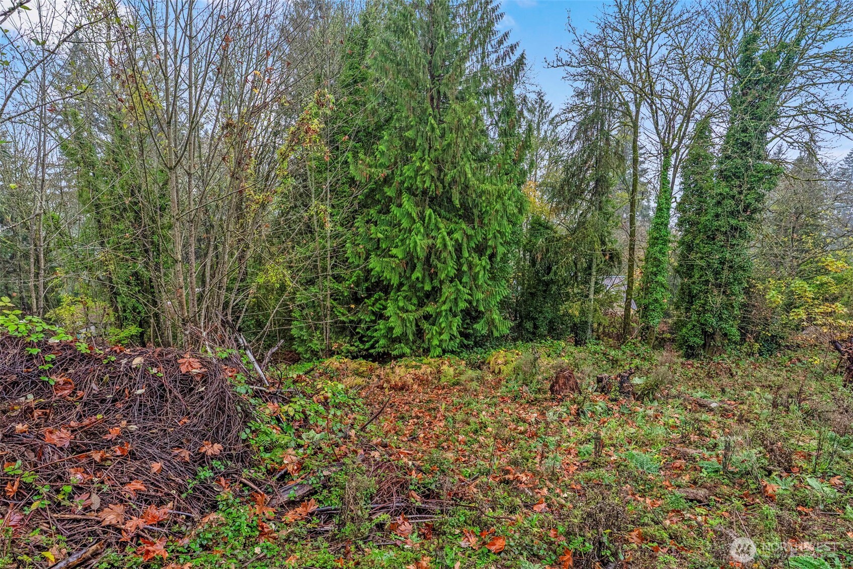 4043 Sunset Way , Longview, WA 98632