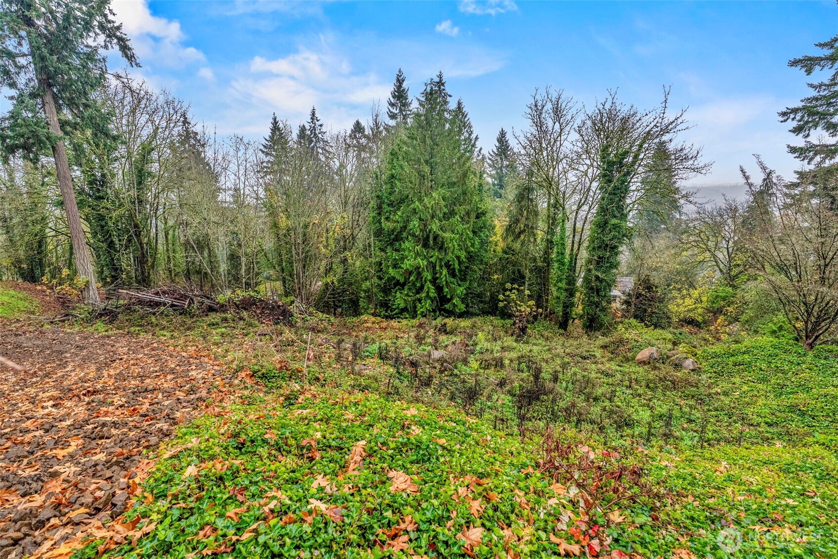 4057 Sunset Way , Longview, WA 98632