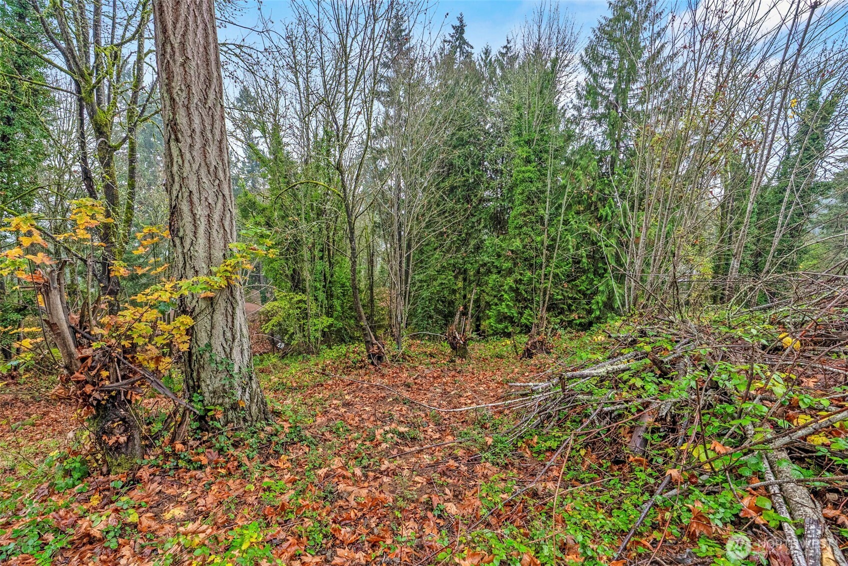 4057 Sunset Way , Longview, WA 98632