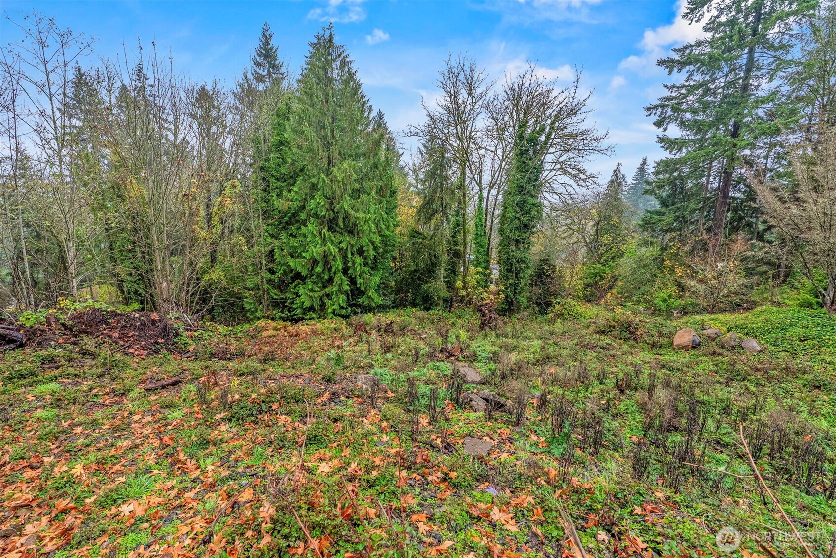 4057 Sunset Way , Longview, WA 98632