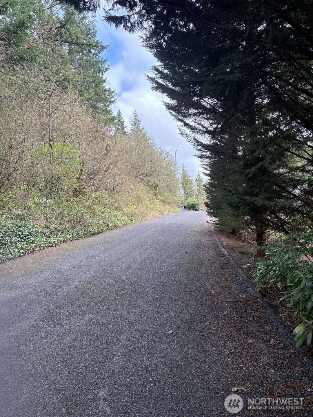 0 NE Jefferson Street , Chehalis, WA 98532