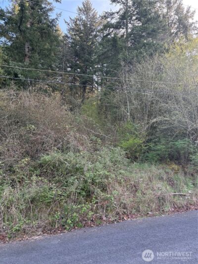 0 NE Jefferson Street , Chehalis, WA 98532 - Photo 4