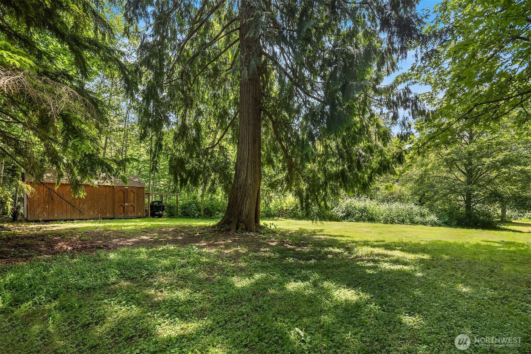 7717 252nd Avenue NE, Redmond, WA 98053