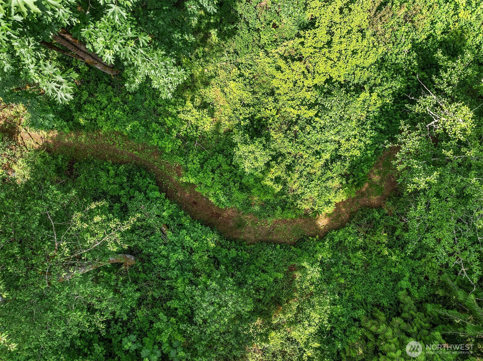 7717 252nd Avenue NE, Redmond, WA 98053