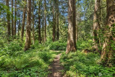 7717 252nd Avenue NE, Redmond, WA 98053 - Photo 37