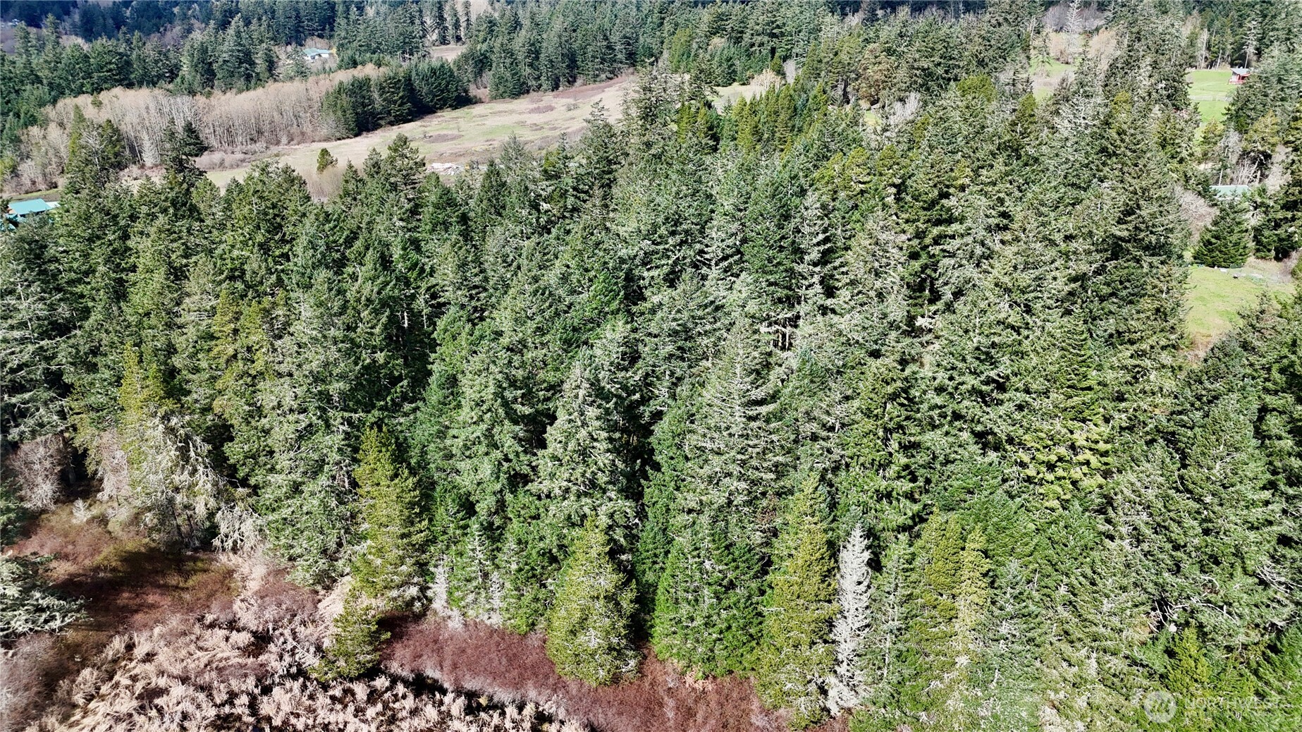 0 Egg Lake Road , Friday Harbor, WA 98250