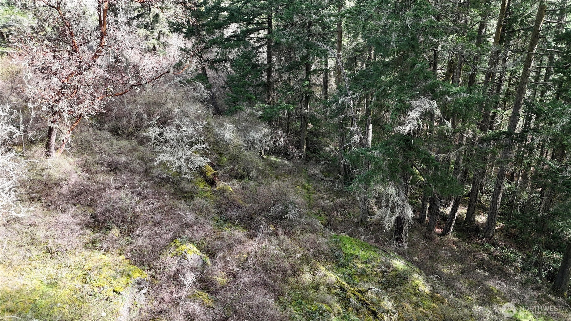 0 Egg Lake Road , Friday Harbor, WA 98250
