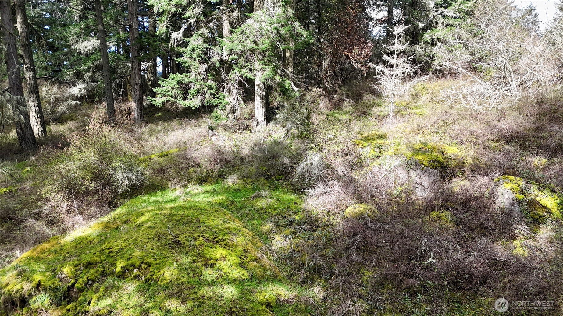 0 Egg Lake Road , Friday Harbor, WA 98250