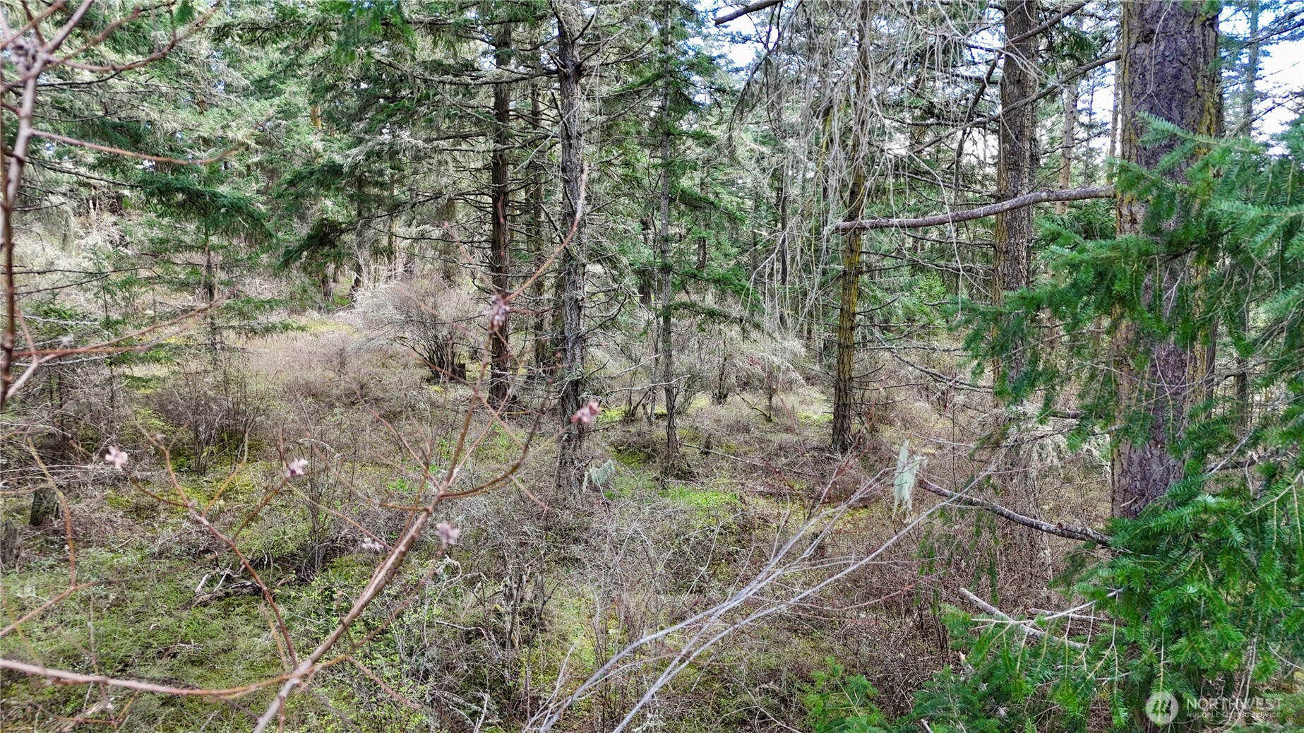 0 Egg Lake Road , Friday Harbor, WA 98250