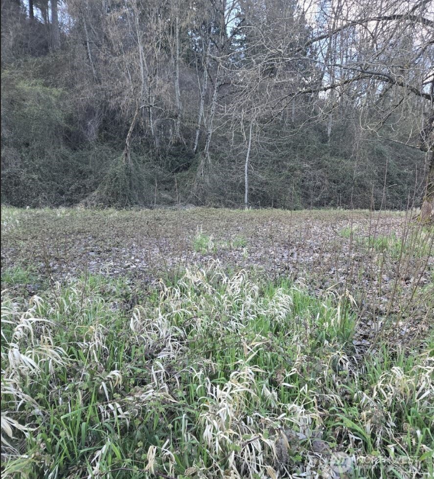 2210 W Valley Highway E, Edgewood, WA 98372