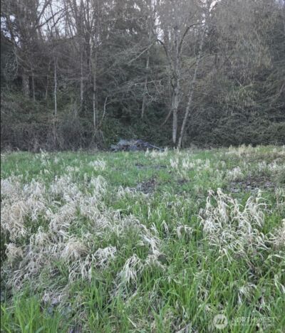 2210 W Valley Highway E, Edgewood, WA 98372 - Photo 4