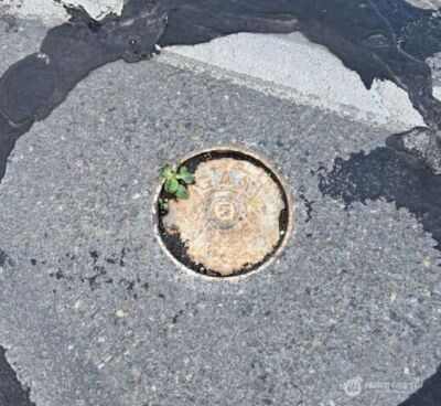 2210 W Valley Highway E, Edgewood, WA 98372 - Photo 10