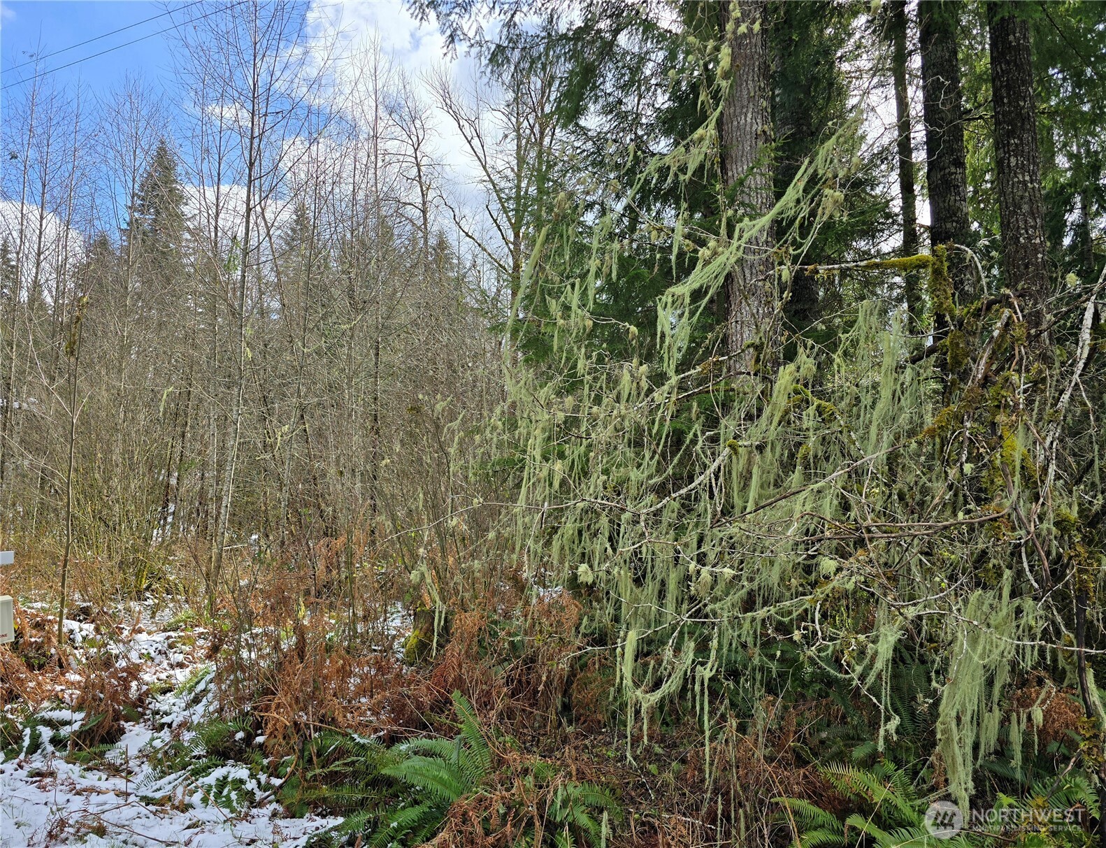 31518 557th Street Ct , Ashford, WA 98304