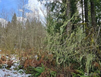 31518 557th Street Ct , Ashford, WA 98304