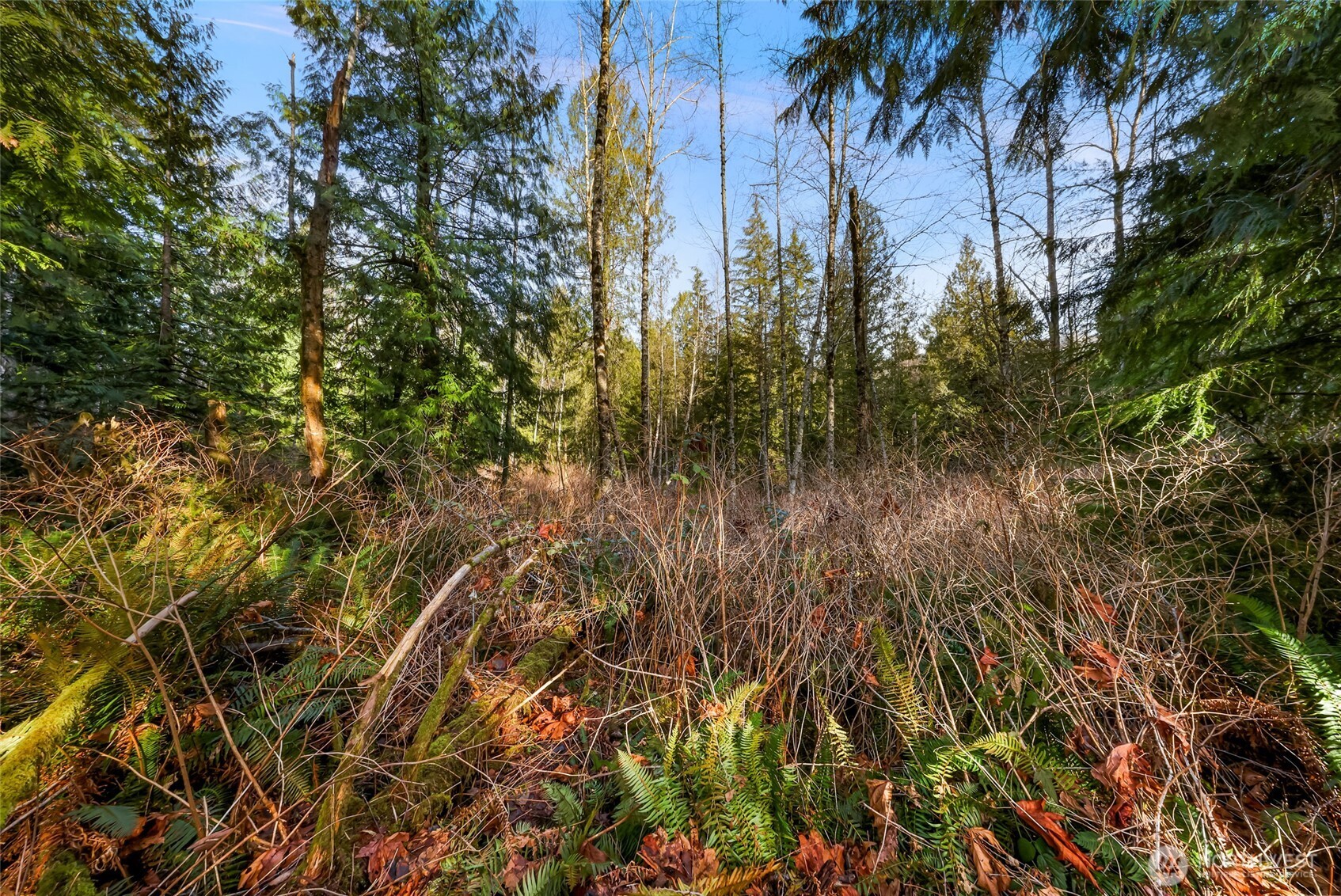 6655 N Fruitdale Road , Sedro Woolley, WA 98284