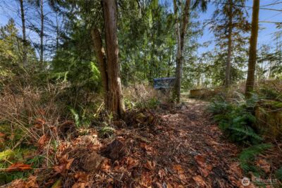 6655 N Fruitdale Road , Sedro Woolley, WA 98284 - Photo 3