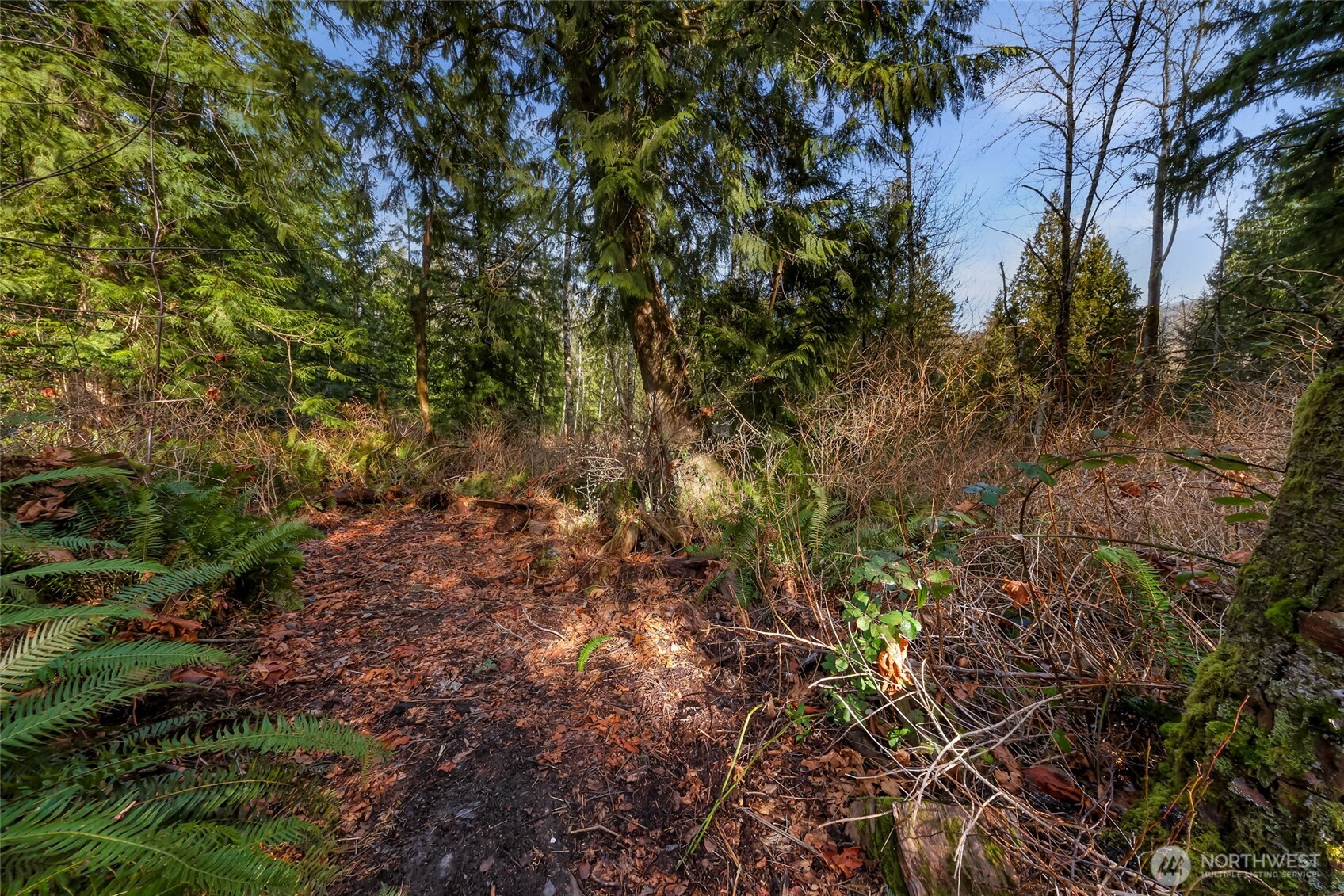6655 N Fruitdale Road , Sedro Woolley, WA 98284