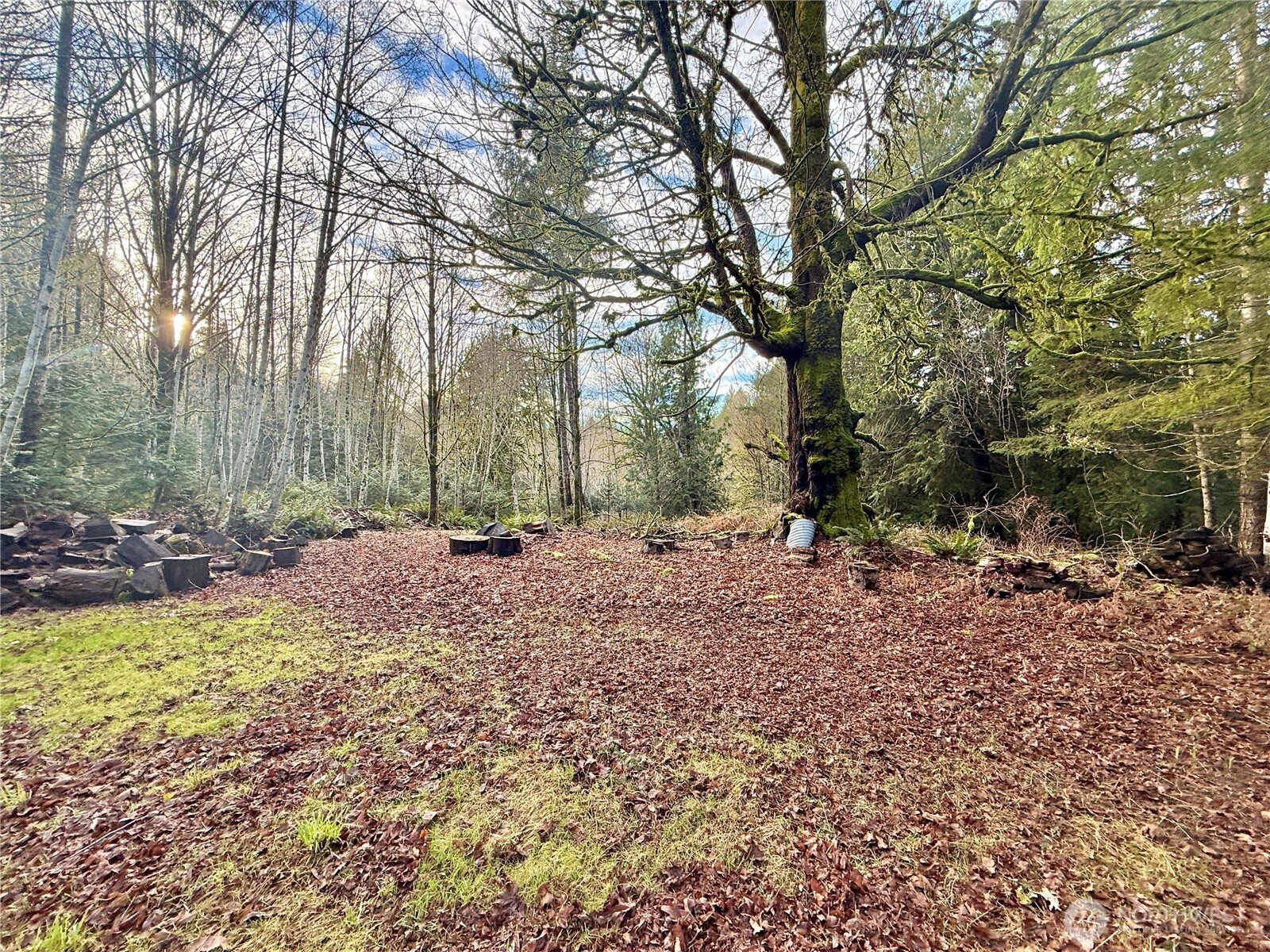 705 E Colonel Wright Road , Shelton, WA 98584