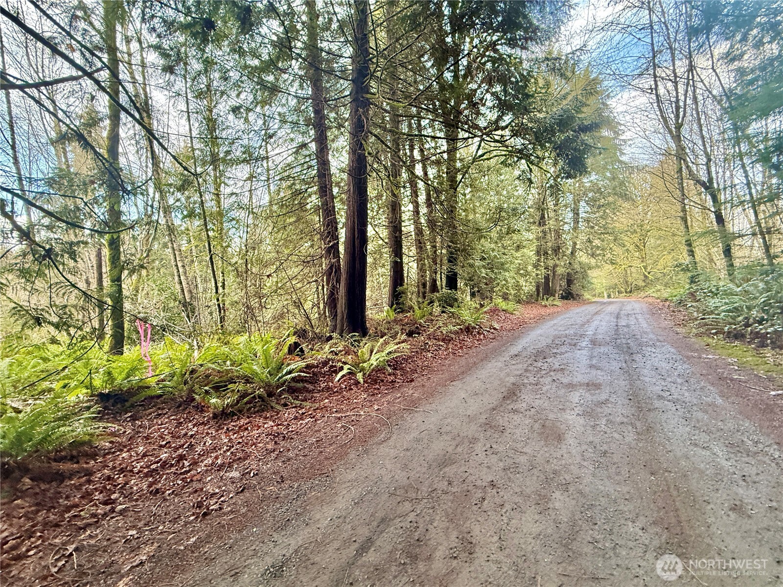 705 E Colonel Wright Road , Shelton, WA 98584