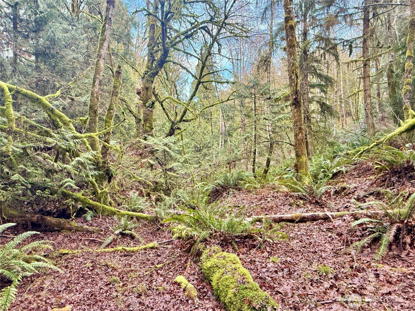 705 E Colonel Wright Road , Shelton, WA 98584