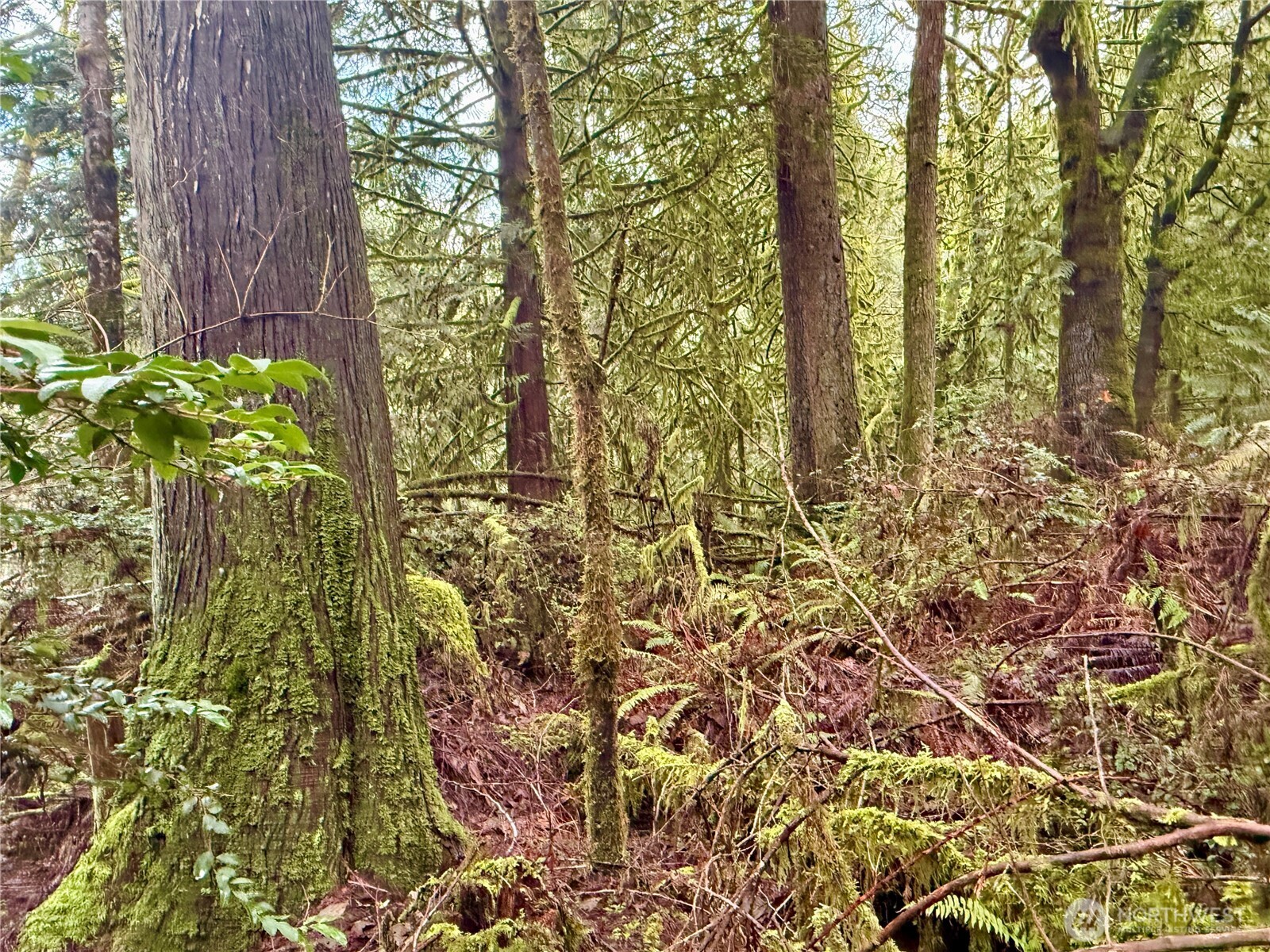 705 E Colonel Wright Road , Shelton, WA 98584