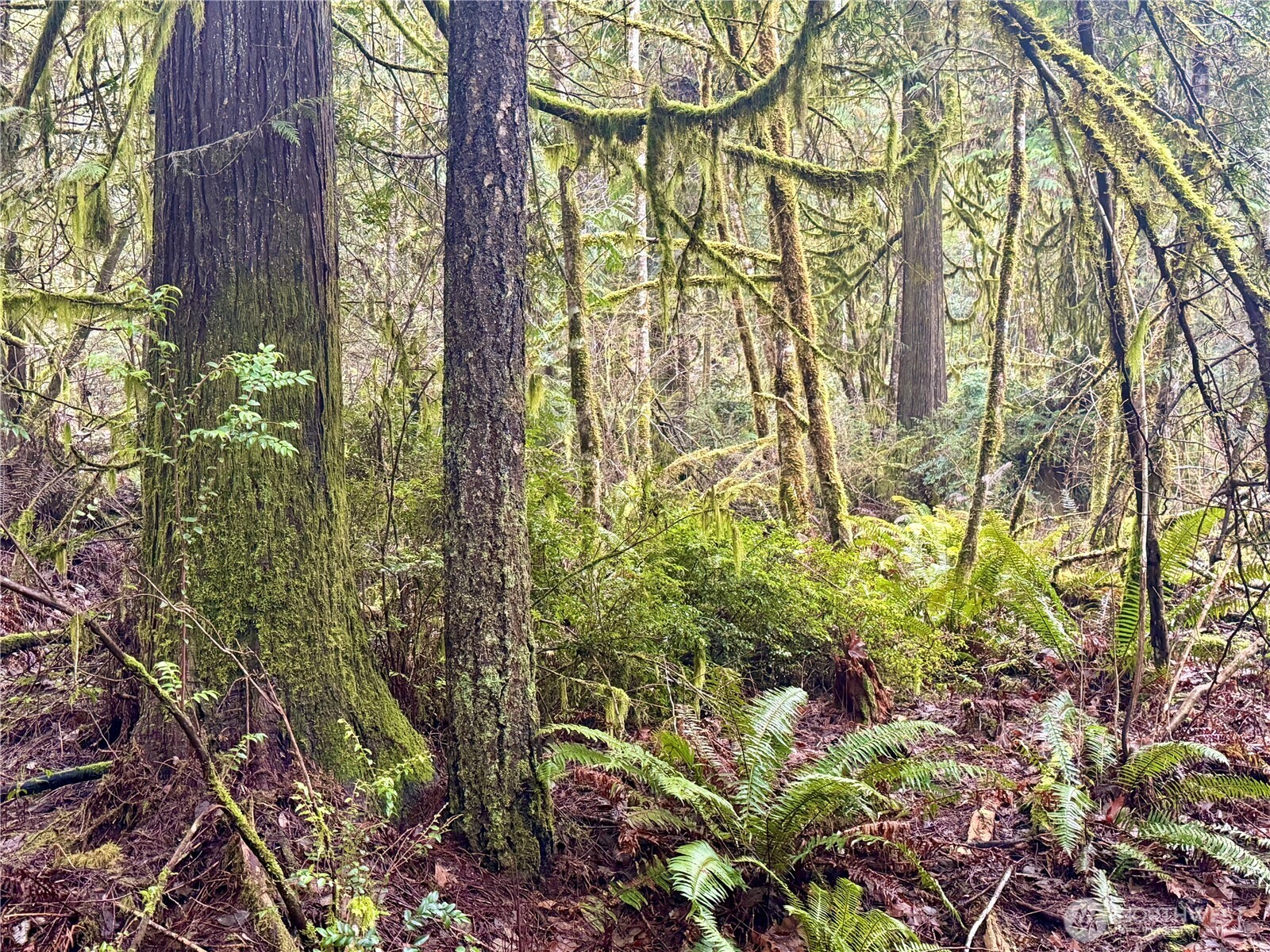 705 E Colonel Wright Road , Shelton, WA 98584