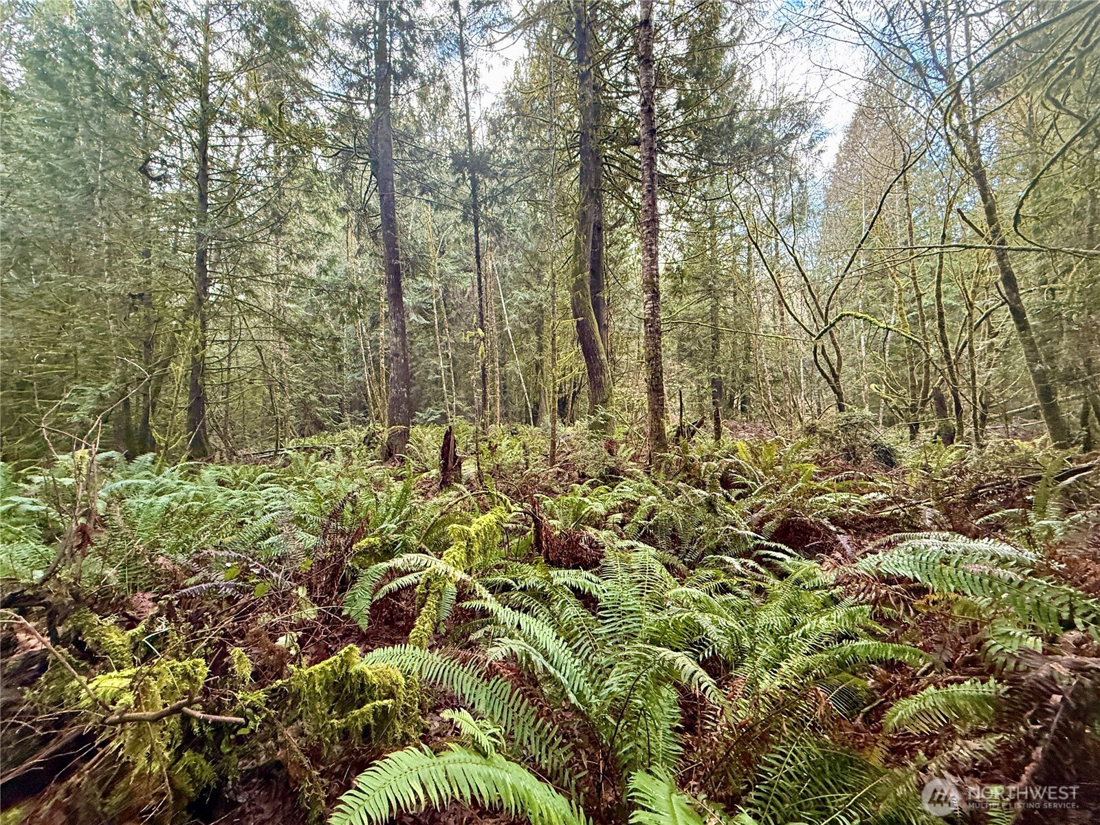 705 E Colonel Wright Road , Shelton, WA 98584