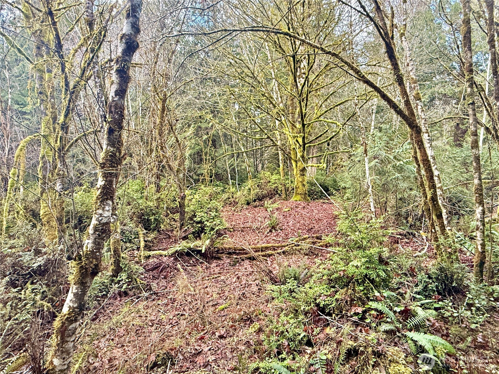 705 E Colonel Wright Road , Shelton, WA 98584