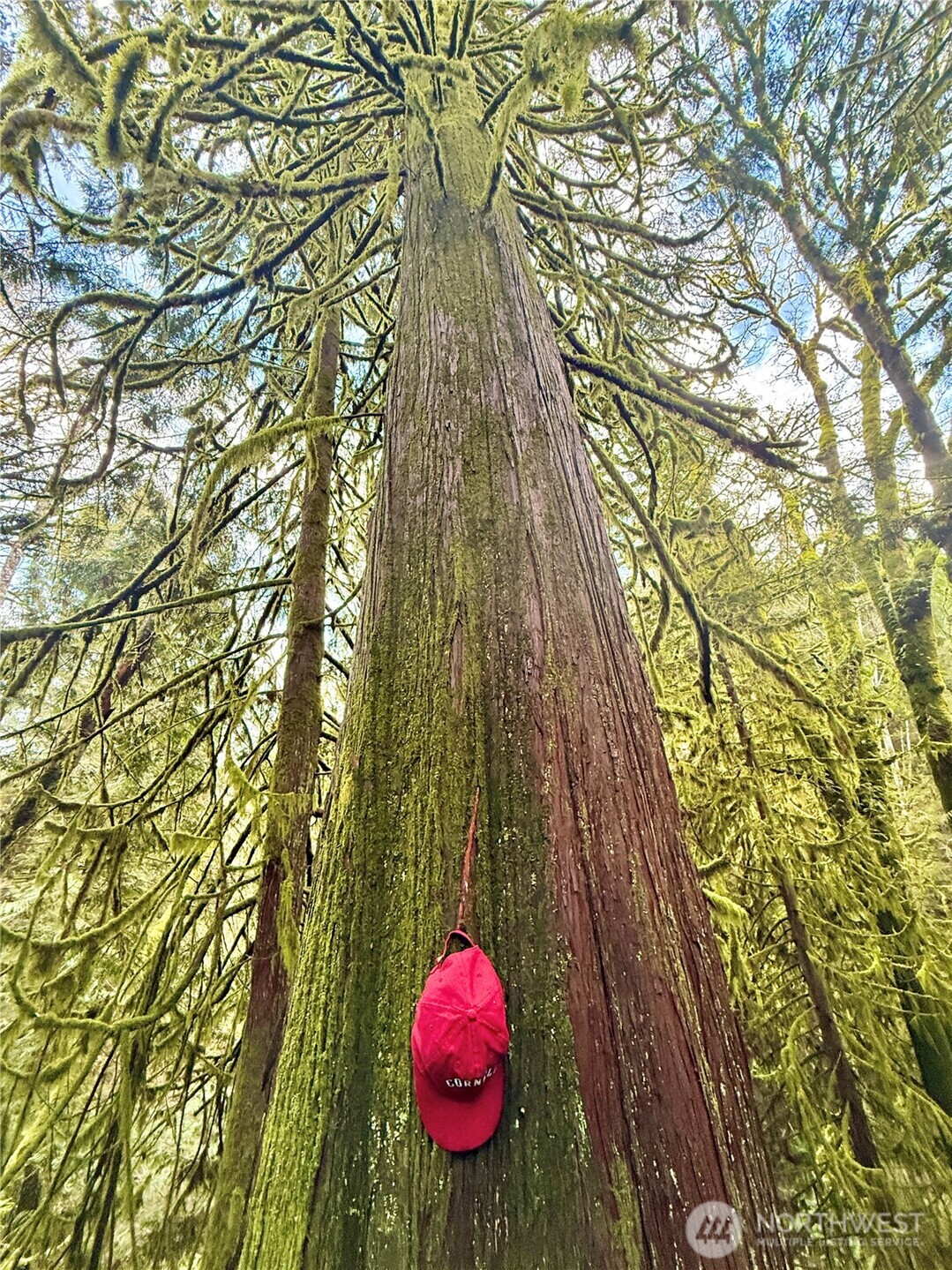 705 E Colonel Wright Road , Shelton, WA 98584