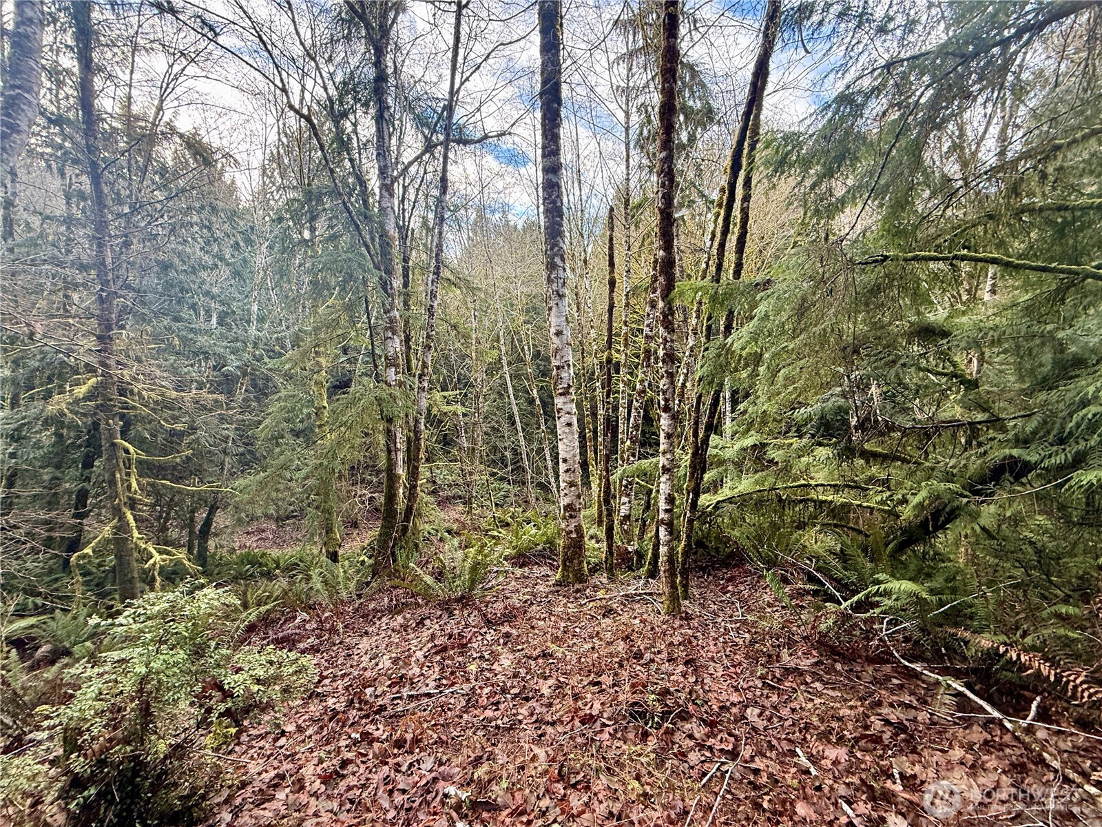 705 E Colonel Wright Road , Shelton, WA 98584