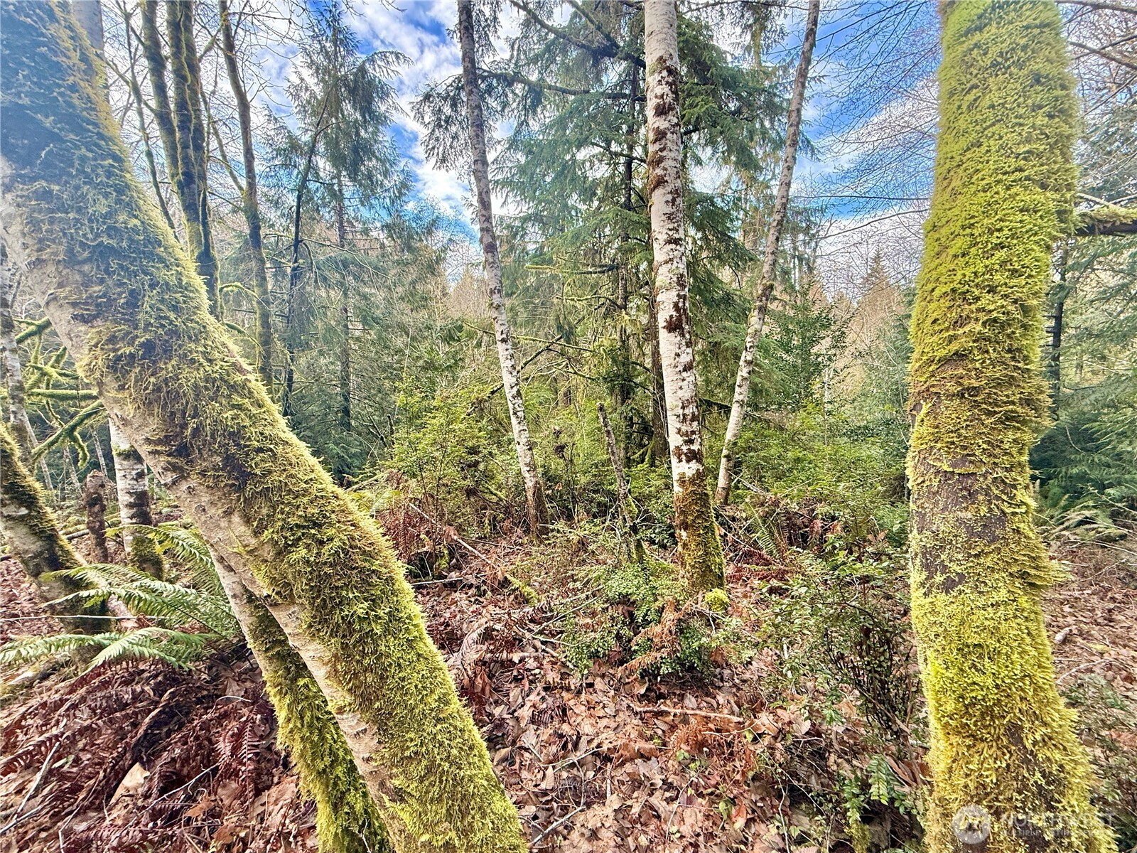 705 E Colonel Wright Road , Shelton, WA 98584