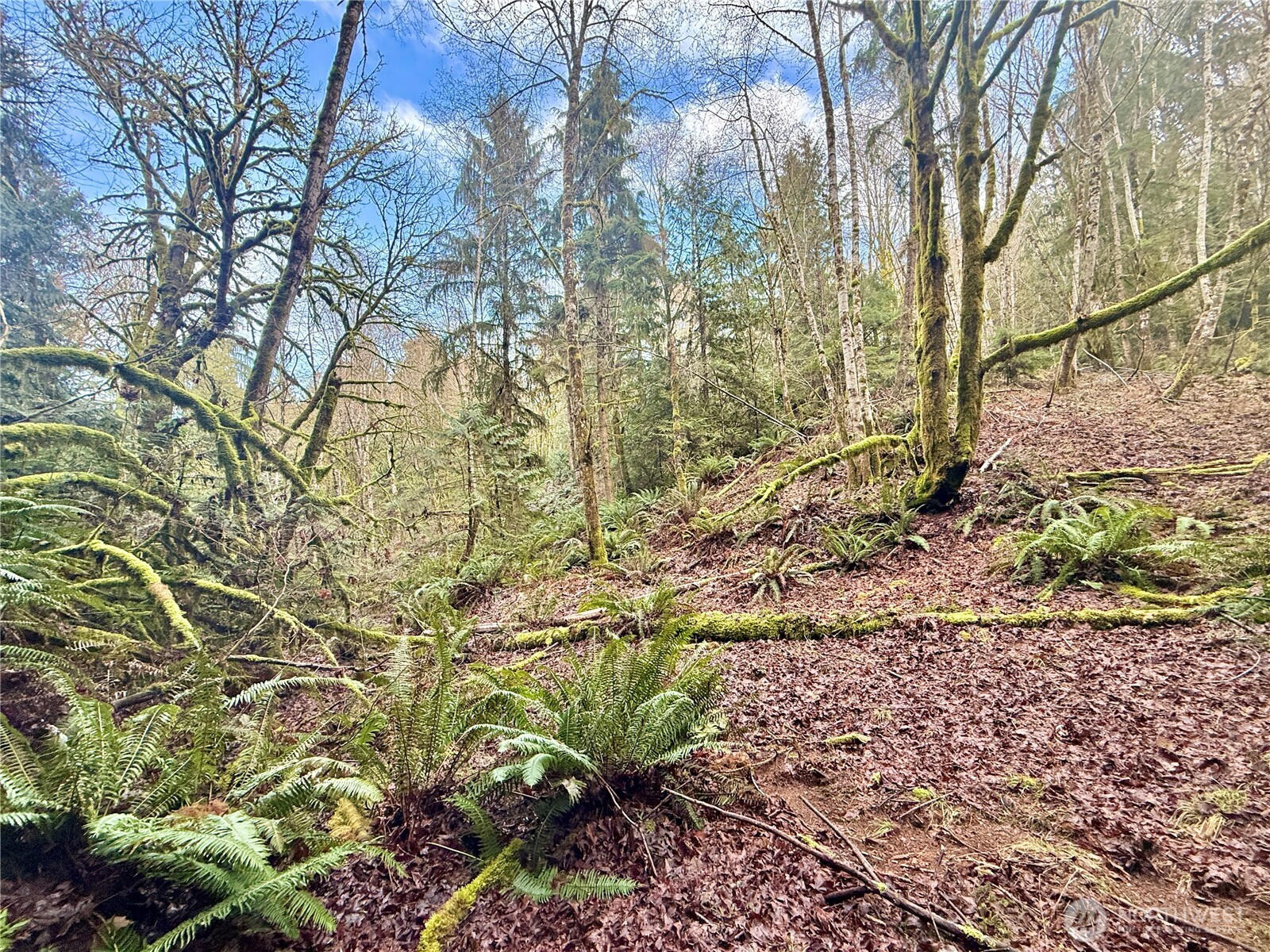 705 E Colonel Wright Road , Shelton, WA 98584