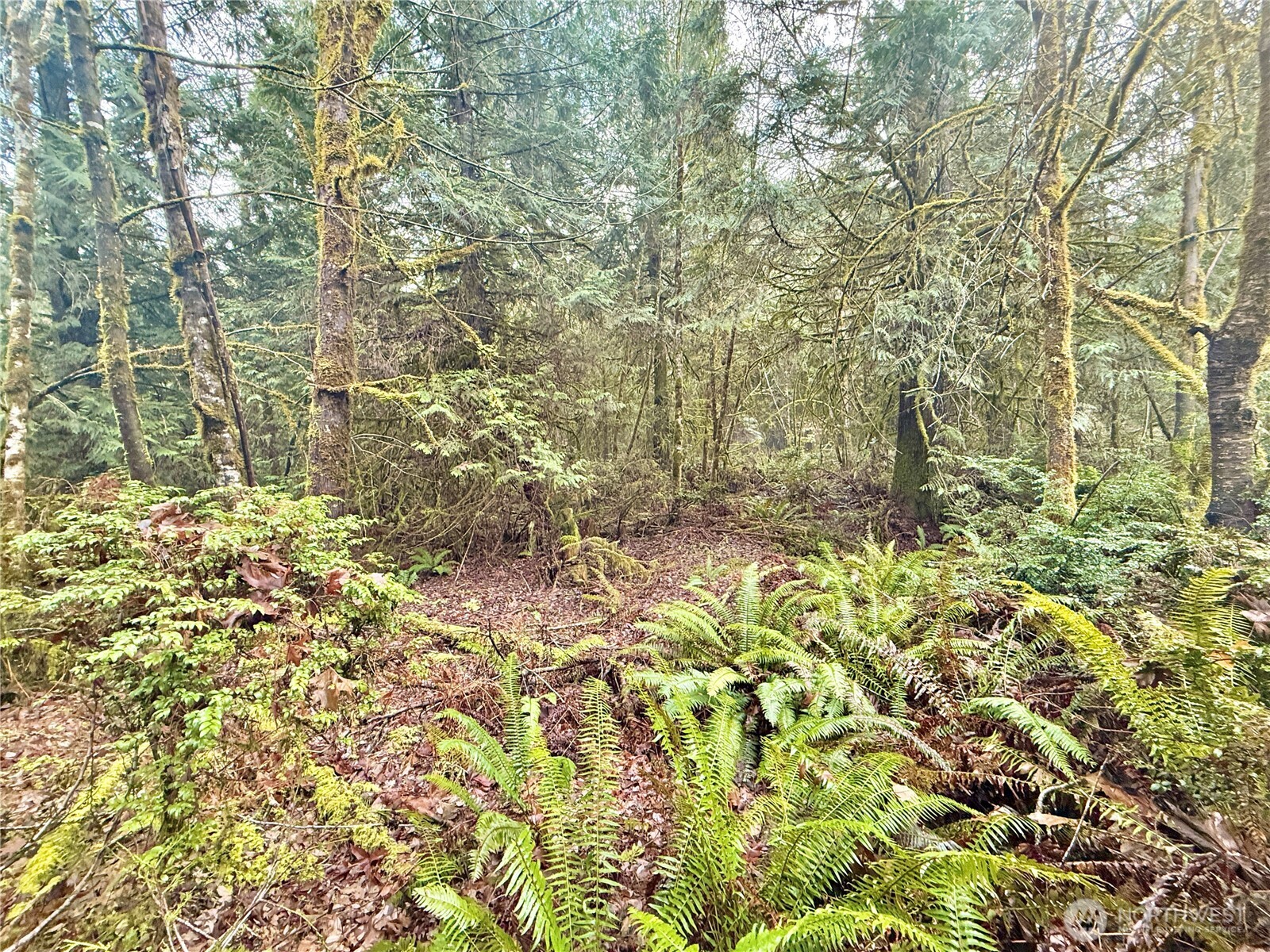 705 E Colonel Wright Road , Shelton, WA 98584