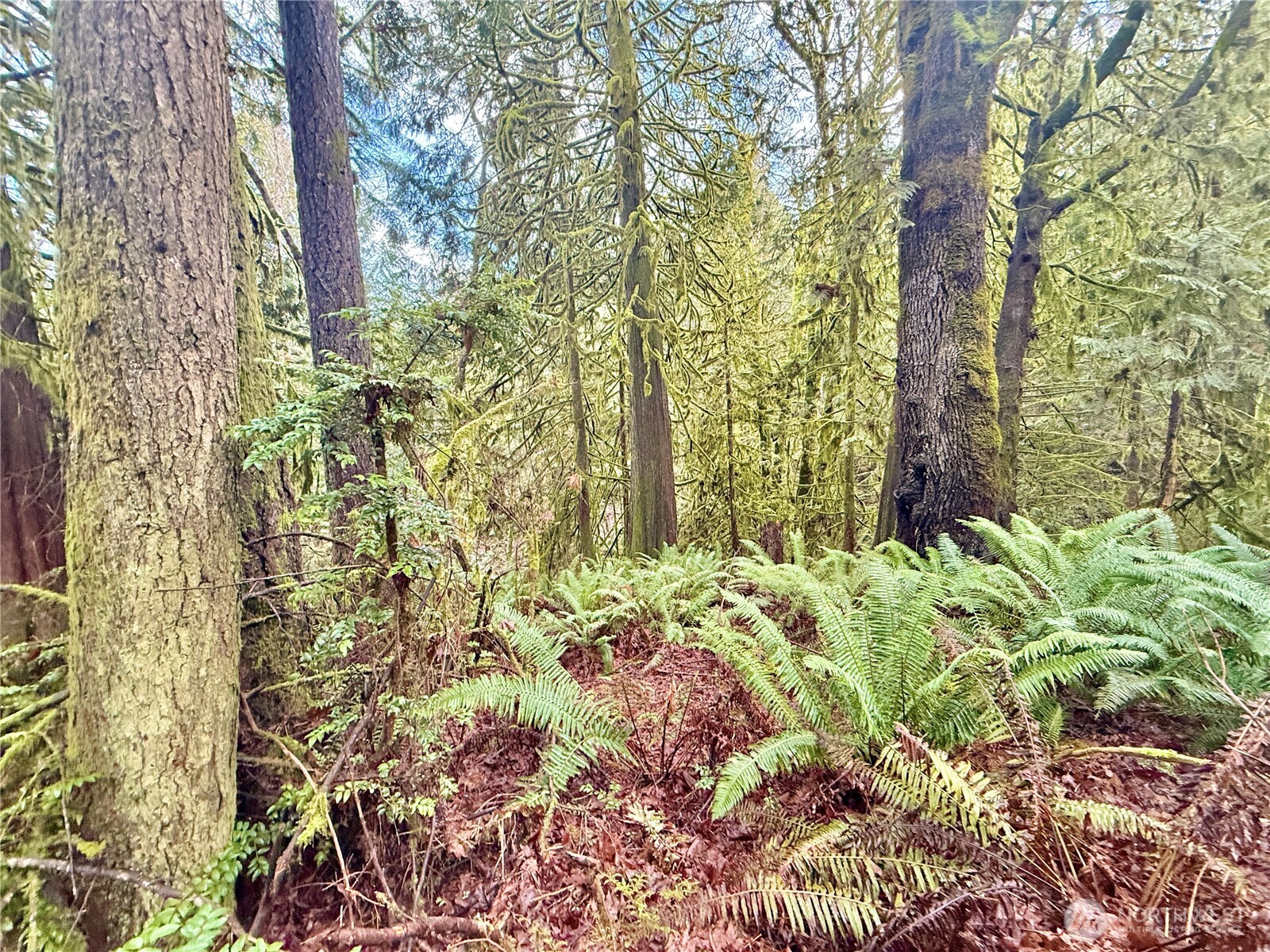 705 E Colonel Wright Road , Shelton, WA 98584