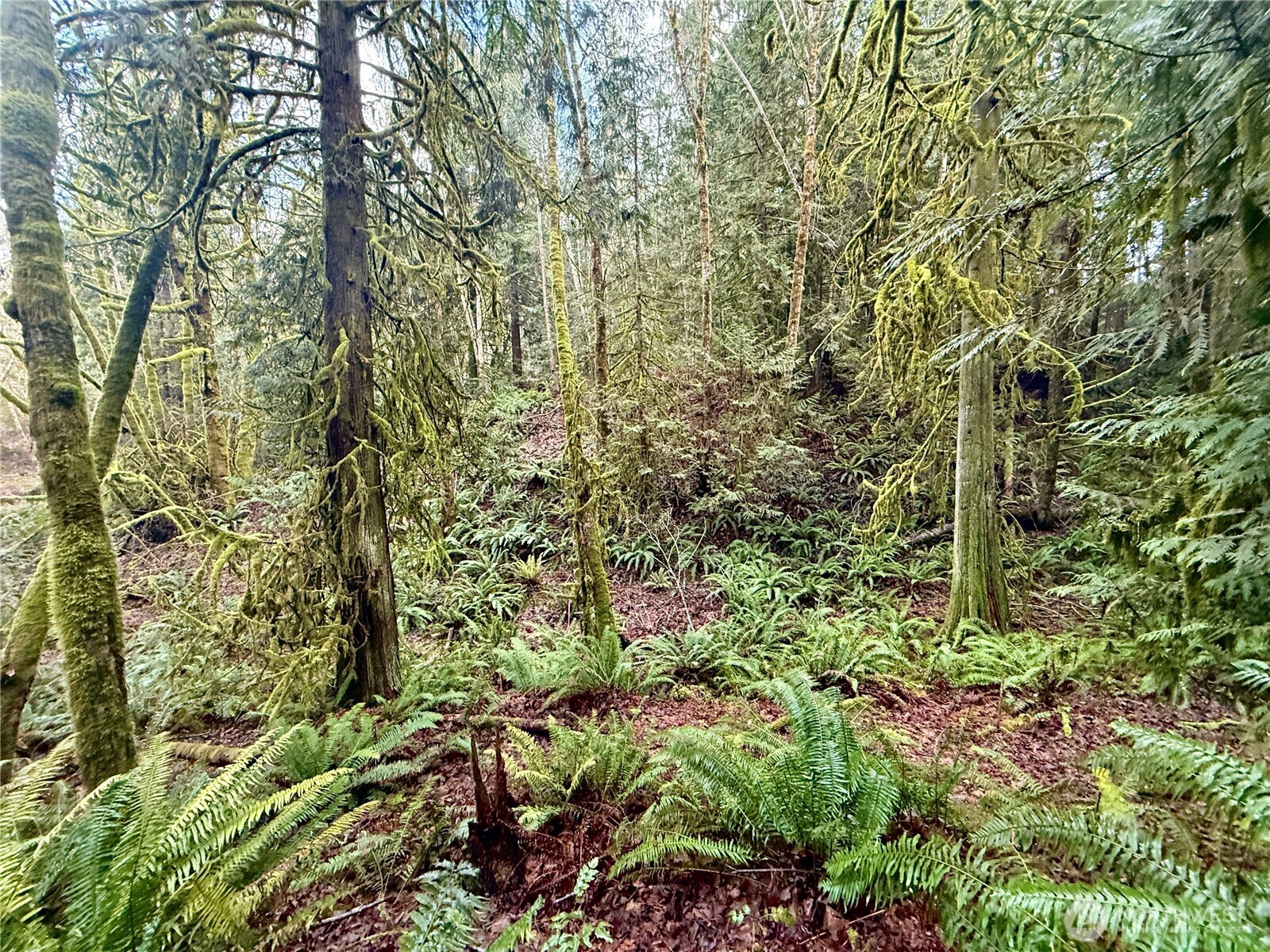 705 E Colonel Wright Road , Shelton, WA 98584