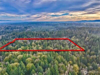 705 E Colonel Wright Road , Shelton, WA 98584 - Photo 36