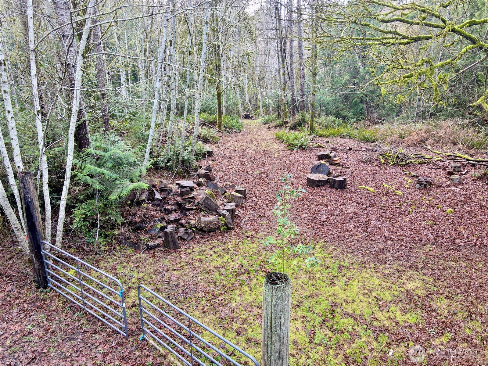 705 E Colonel Wright Road , Shelton, WA 98584