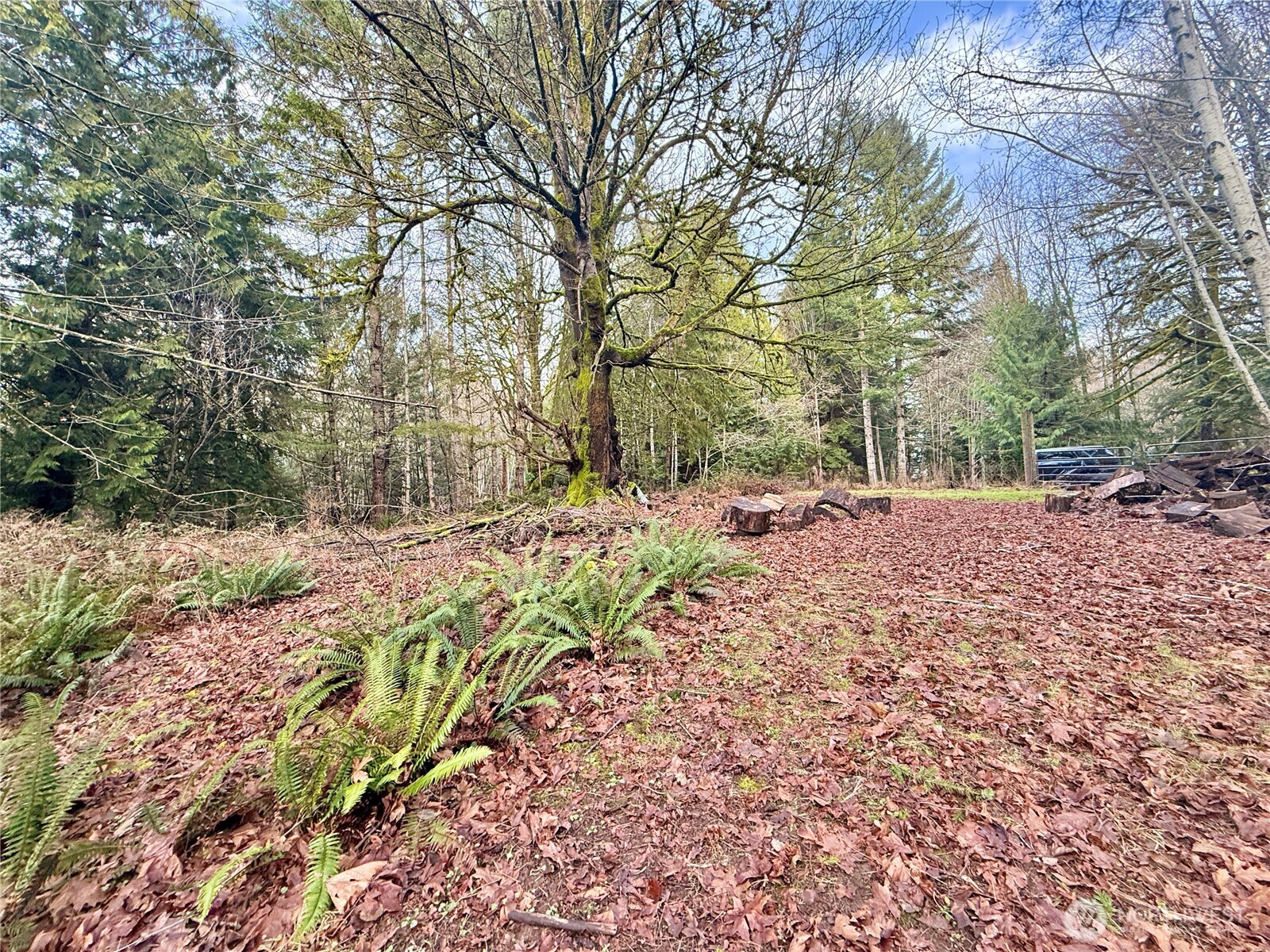 705 E Colonel Wright Road , Shelton, WA 98584