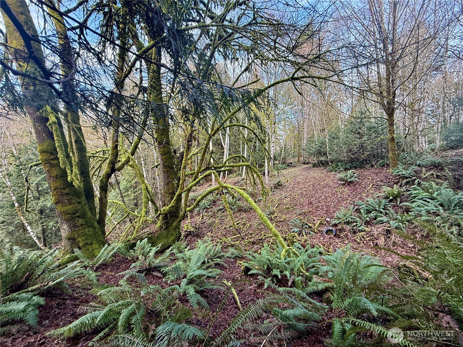 705 E Colonel Wright Road , Shelton, WA 98584